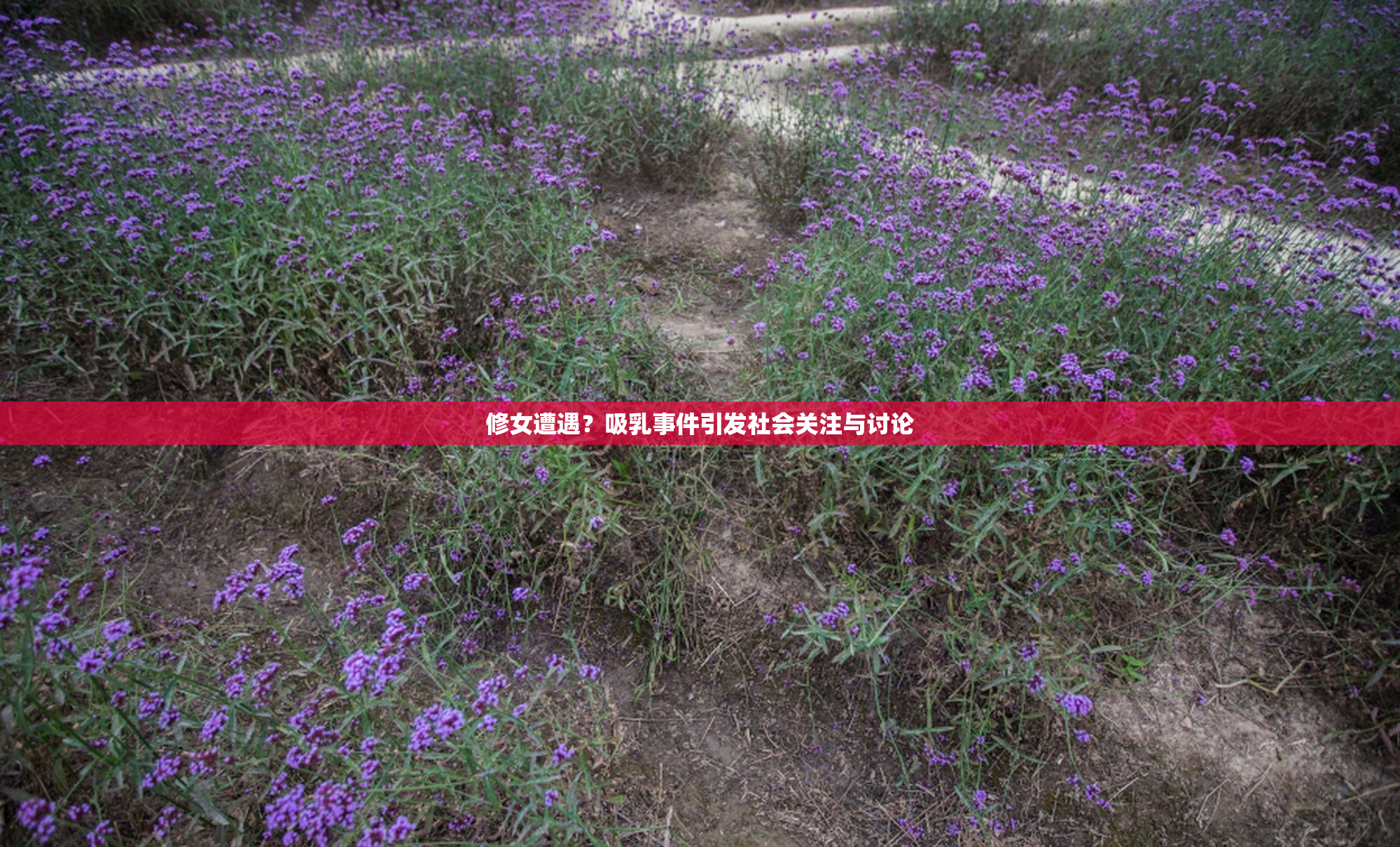 修女遭遇？吸乳事件引发社会关注与讨论