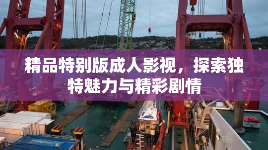 精品特别版成人影视，探索独特魅力与精彩剧情