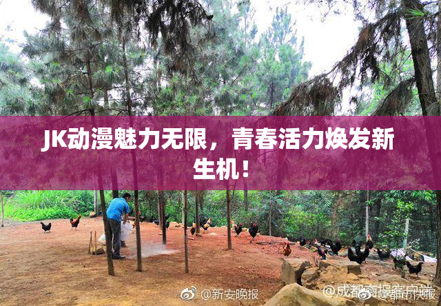 JK动漫魅力无限，青春活力焕发新生机！