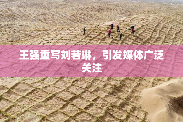 王强重写刘若琳，引发媒体广泛关注