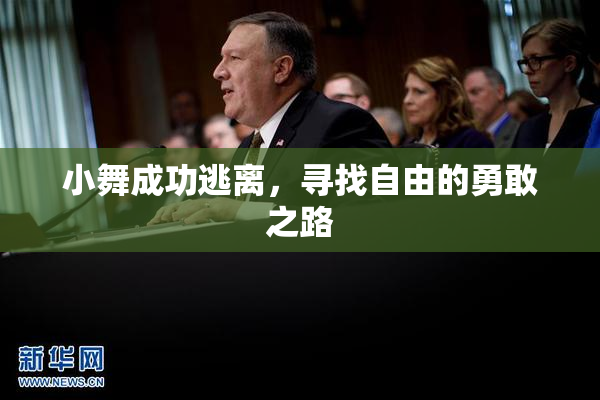 小舞成功逃离，寻找自由的勇敢之路