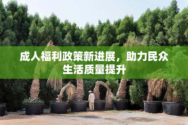 成人福利政策新进展，助力民众生活质量提升