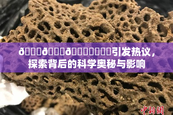 🍆🍑🔞❌‌❌‌引发热议，探索背后的科学奥秘与影响