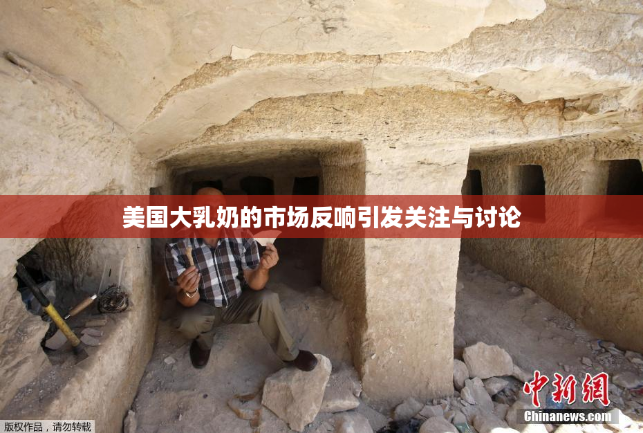 美国大乳奶的市场反响引发关注与讨论