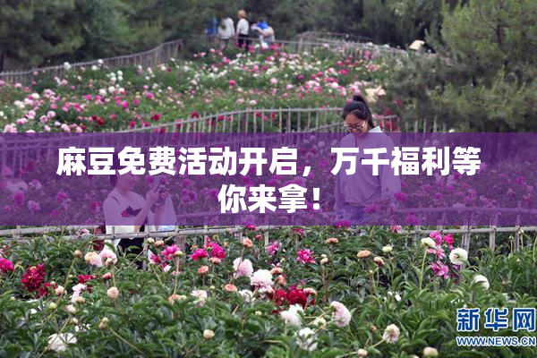 麻豆免费活动开启，万千福利等你来拿！