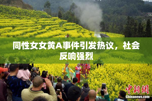 同性女女黄A事件引发热议，社会反响强烈