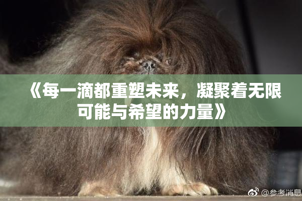 《每一滴都重塑未来，凝聚着无限可能与希望的力量》