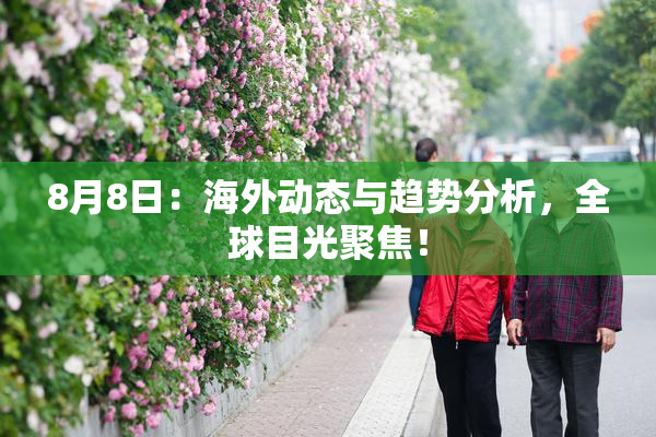 8月8日：海外动态与趋势分析，全球目光聚焦！