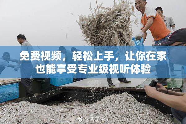 免费视频，轻松上手，让你在家也能享受专业级视听体验