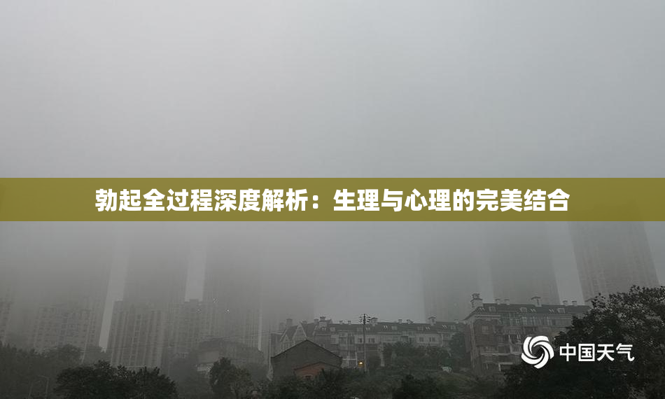 勃起全过程深度解析：生理与心理的完美结合