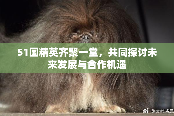 51国精英齐聚一堂，共同探讨未来发展与合作机遇