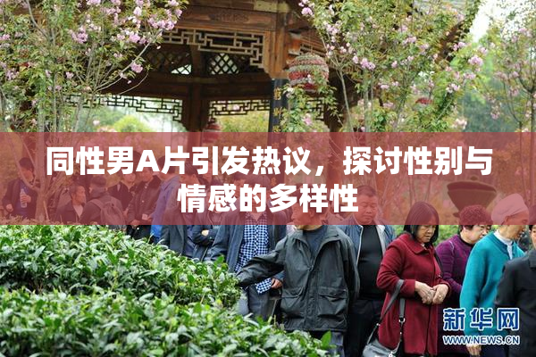 同性男A片引发热议，探讨性别与情感的多样性