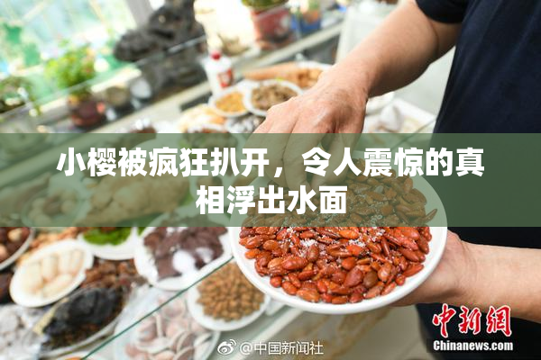 小樱被疯狂扒开，令人震惊的真相浮出水面