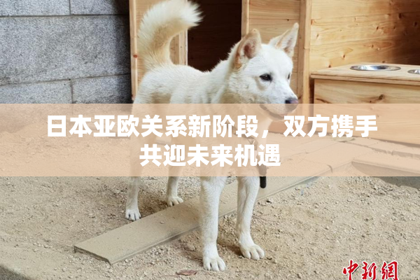 日本亚欧关系新阶段，双方携手共迎未来机遇