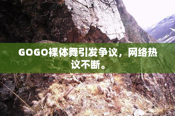 GOGO裸体舞引发争议，网络热议不断。