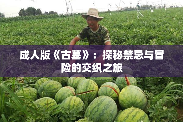 成人版《古墓》：探秘禁忌与冒险的交织之旅