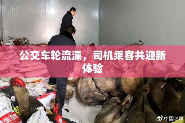公交车轮流澡，司机乘客共迎新体验