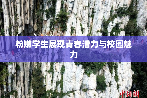 粉嫩学生展现青春活力与校园魅力