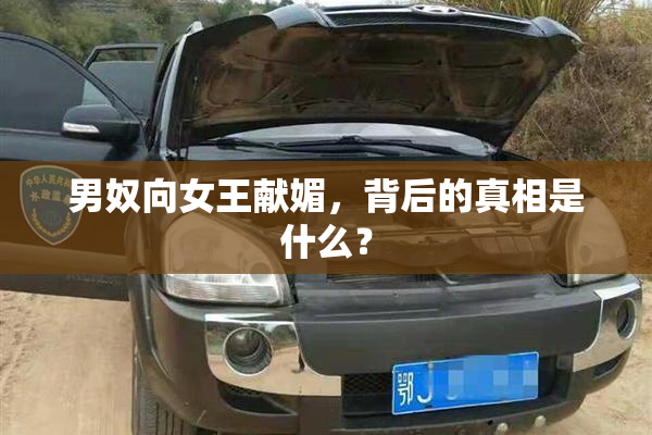 男奴向女王献媚，背后的真相是什么？