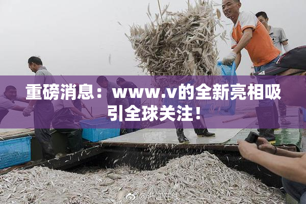 重磅消息：www.v的全新亮相吸引全球关注！
