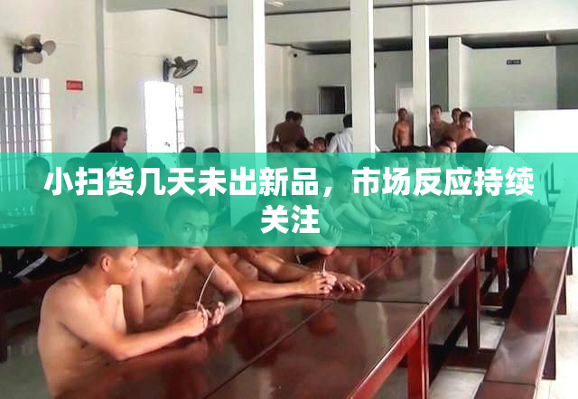 小扫货几天未出新品，市场反应持续关注