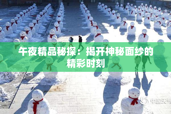 午夜精品秘探：揭开神秘面纱的精彩时刻