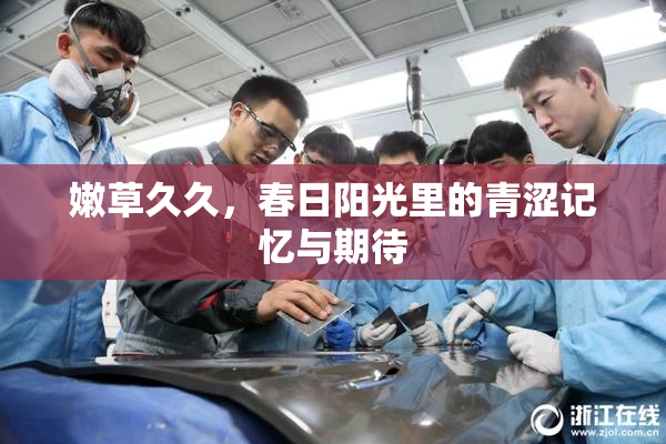嫩草久久，春日阳光里的青涩记忆与期待