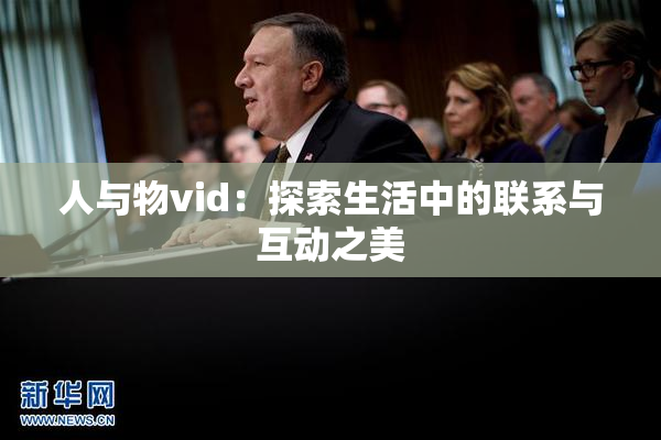 人与物vid：探索生活中的联系与互动之美