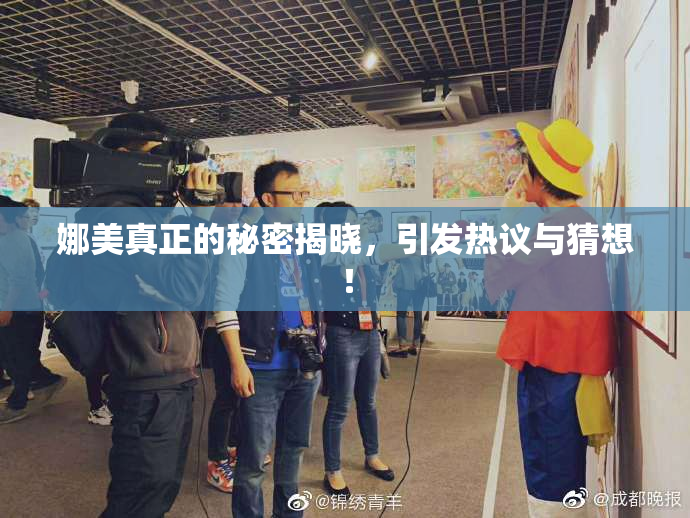 娜美真正的秘密揭晓，引发热议与猜想！