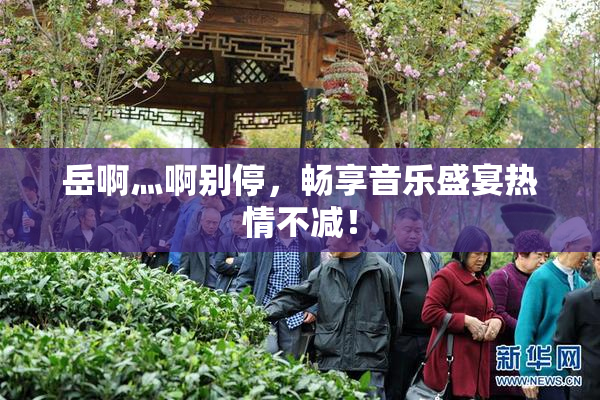 岳啊灬啊别停，畅享音乐盛宴热情不减！