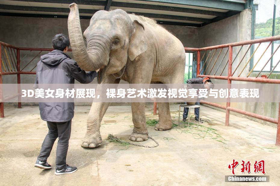 3D美女身材展现，裸身艺术激发视觉享受与创意表现