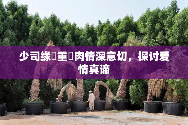 少司缘婬重泬肉情深意切，探讨爱情真谛