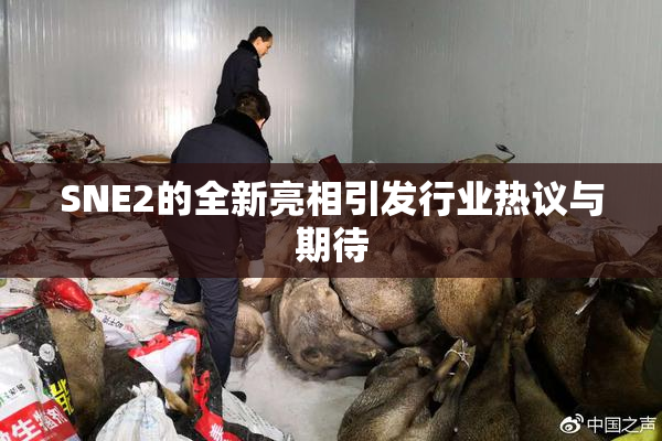 SNE2的全新亮相引发行业热议与期待