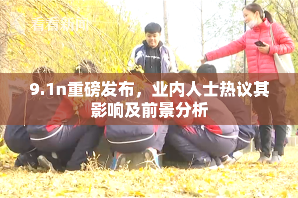 9.1n重磅发布，业内人士热议其影响及前景分析