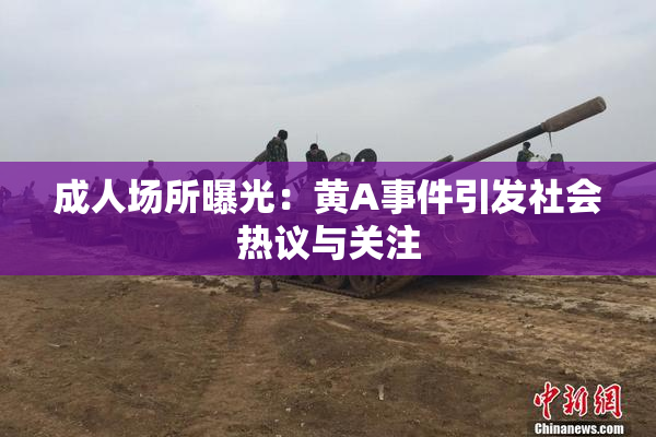 成人场所曝光：黄A事件引发社会热议与关注
