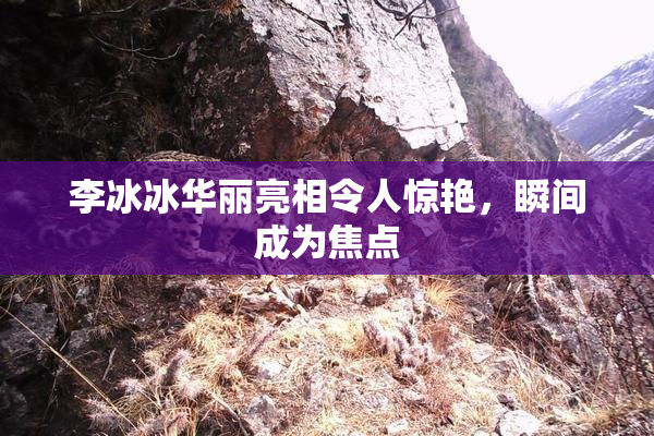 李冰冰华丽亮相令人惊艳，瞬间成为焦点