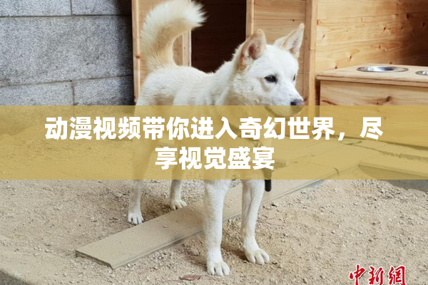动漫视频带你进入奇幻世界，尽享视觉盛宴