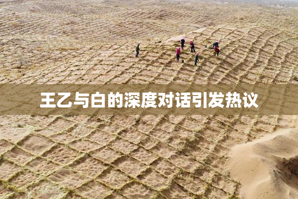 王乙与白的深度对话引发热议