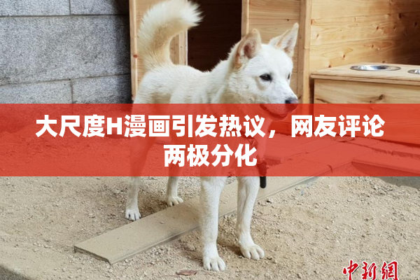 大尺度H漫画引发热议，网友评论两极分化