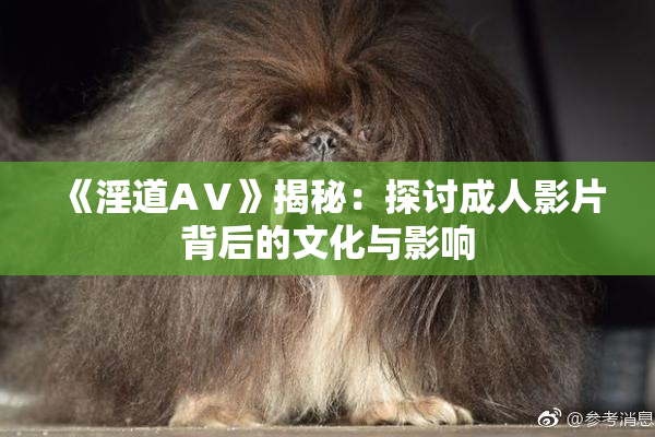 《淫道AⅤ》揭秘：探讨成人影片背后的文化与影响