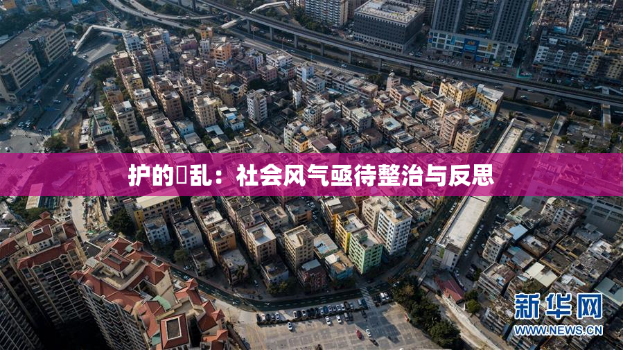 护的婬乱：社会风气亟待整治与反思