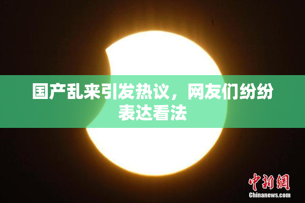 国产乱来引发热议，网友们纷纷表达看法