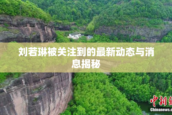 刘若琳被关注到的最新动态与消息揭秘