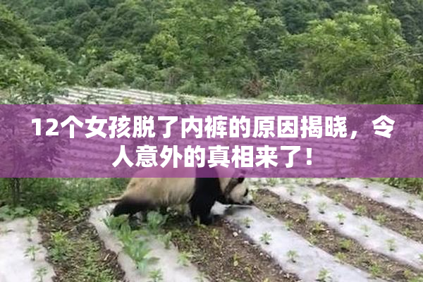 12个女孩脱了内裤的原因揭晓，令人意外的真相来了！