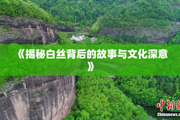 《揭秘白丝背后的故事与文化深意》