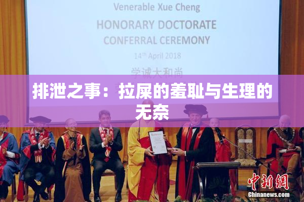 排泄之事：拉屎的羞耻与生理的无奈