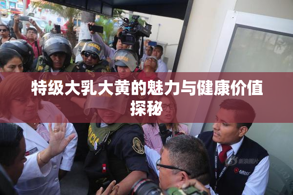特级大乳大黄的魅力与健康价值探秘