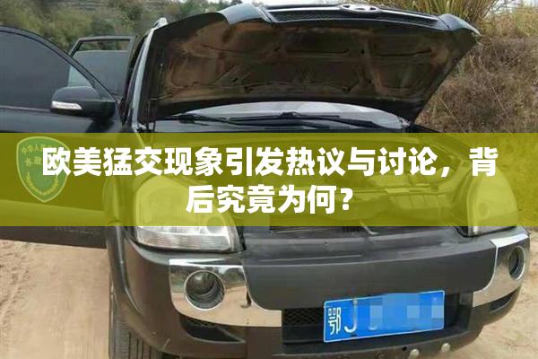 欧美猛交现象引发热议与讨论，背后究竟为何？