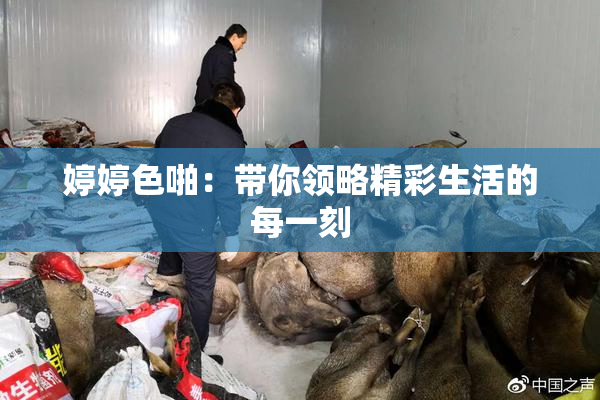 婷婷色啪：带你领略精彩生活的每一刻