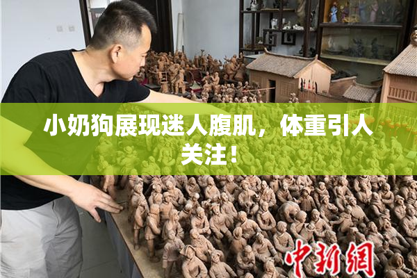 小奶狗展现迷人腹肌，体重引人关注！